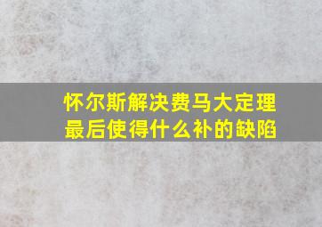 怀尔斯解决费马大定理 最后使得什么补的缺陷